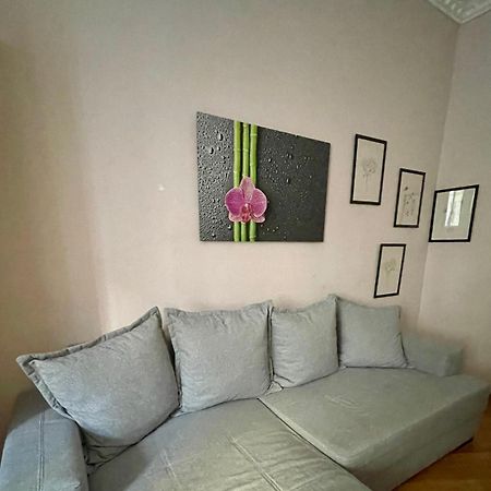Gemutliche Wohnung Mit Super Lage 维也纳 外观 照片